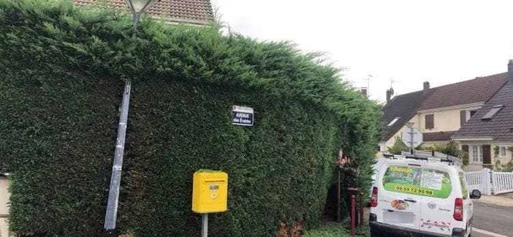 Véhicule d'intervention RND Élagage devant une haie de cyprès en cours de taille